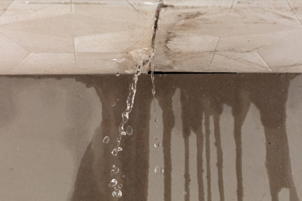 Professional Flood Damage Cleanup technician working in Elkton, OH